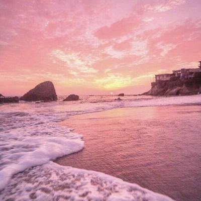 华体会登录手机app下载