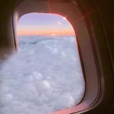 49图库一资料中心手机app下载