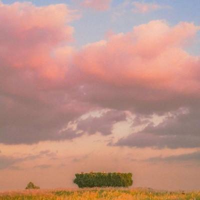 乐鱼竞彩官网app下载