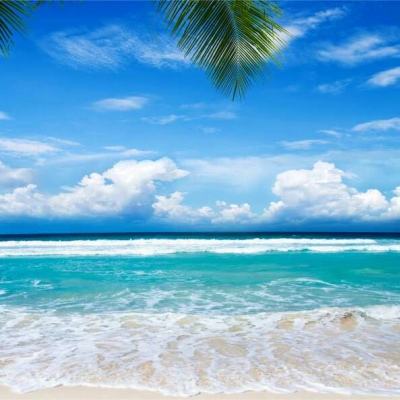 赢三张免费游戏手机app下载