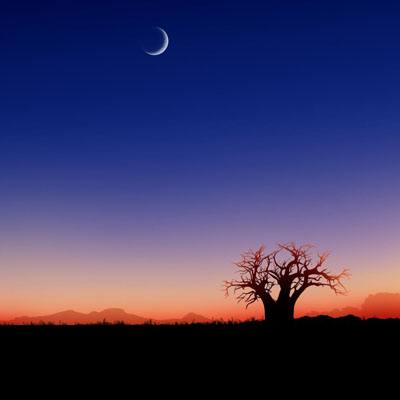 必博手机网页版