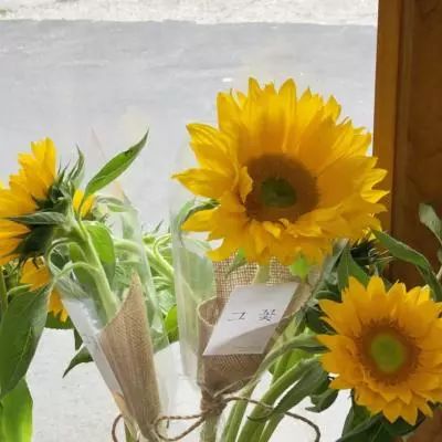 cq9电子游戏app手机app下载截图